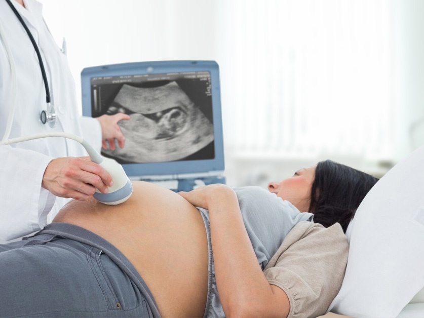 Gynekologie - MUDr. Jan Luxemburk